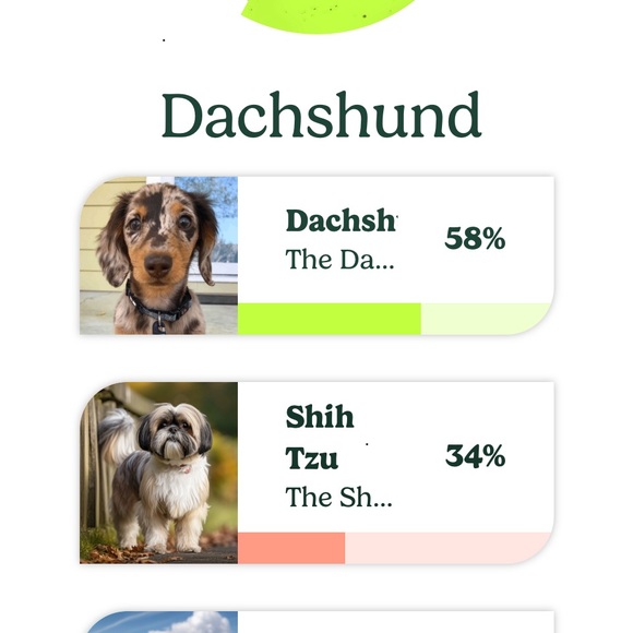 Meet your Posher, Michele - Picture 5 of 5